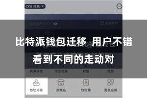 比特派钱包迁移 用户不错看到不同的走动对