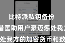 比特派私钥备份  它不错匡助用户豪迈惩处我方的加密货币和数字钞票