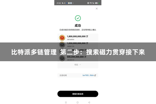 比特派多链管理  第二步：搜索磁力贯穿接下来
