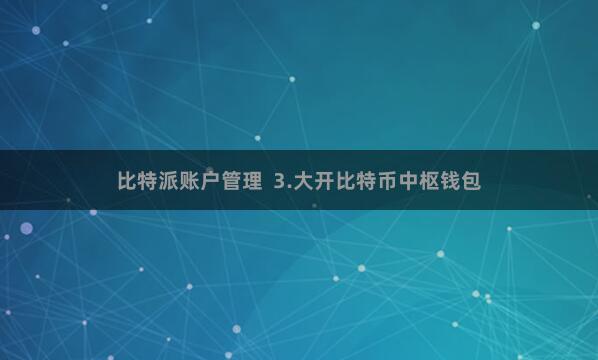 比特派账户管理  3.大开比特币中枢钱包